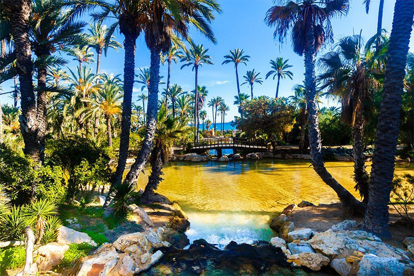 Park El Palmeral in Alicante