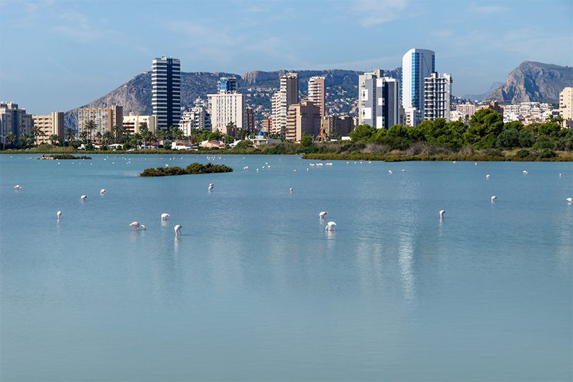 Naturpark Las Salinas Calpe