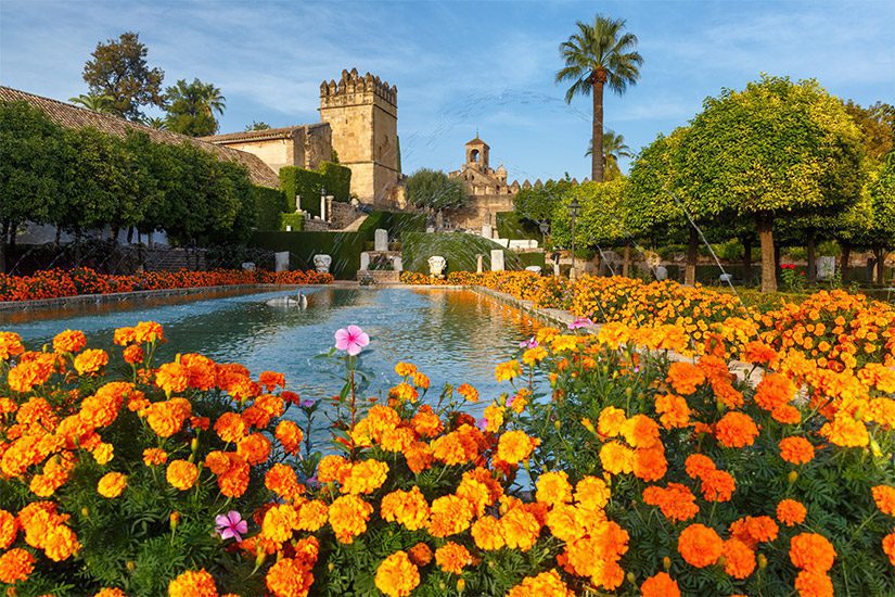 Blühender Garten mit Blumen Cordoba