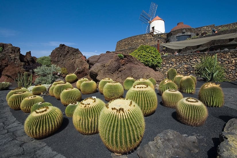 César Manrique, Lanzarote