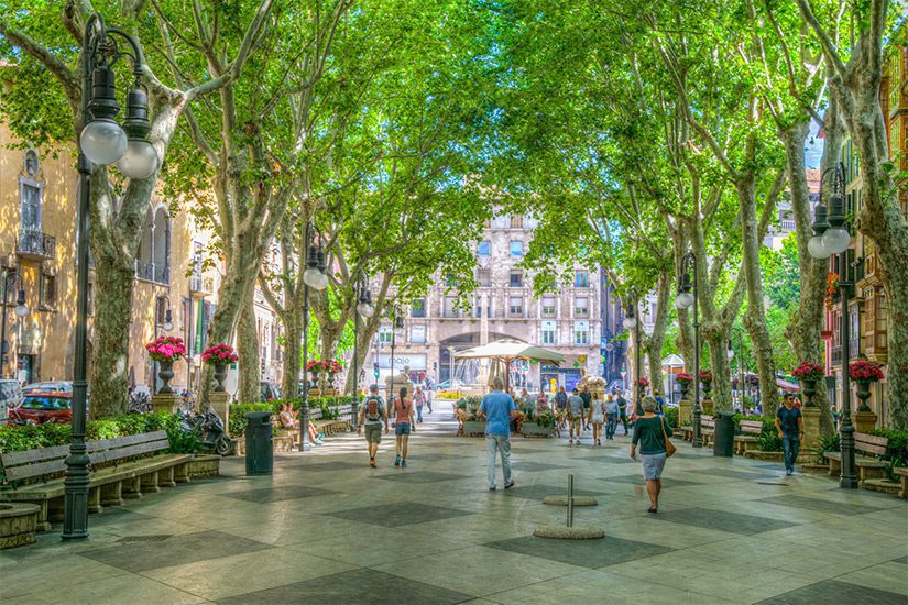 Passeig de Born, Palma de Mallorca