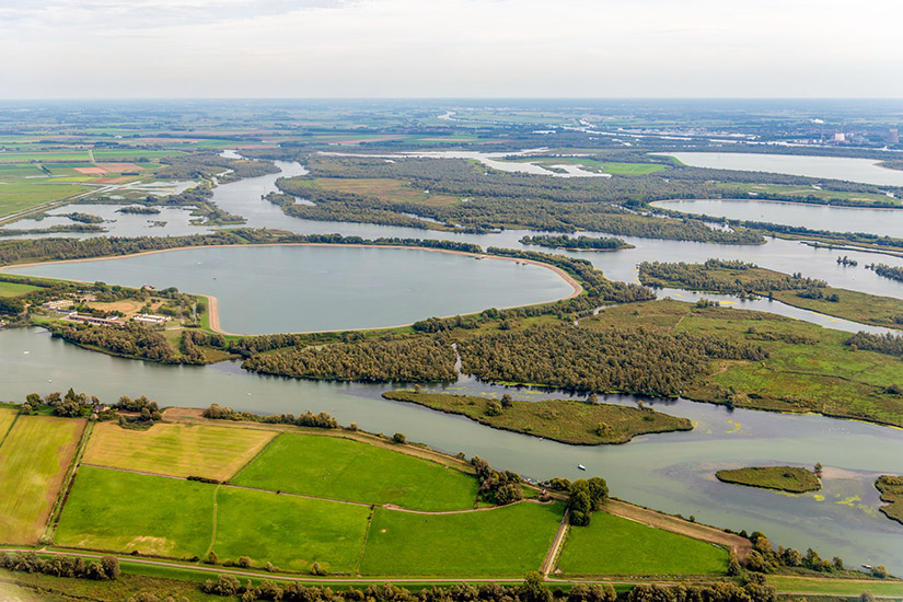 Biesbosch