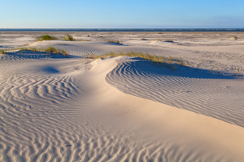 Schiermonnikoog Dünen