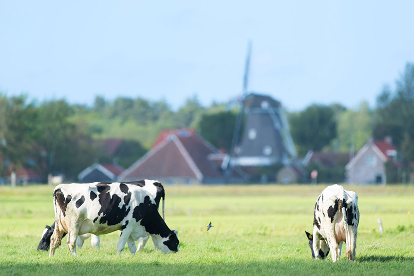 Formerum, Terschelling