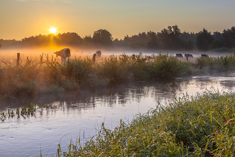 Fluss Dinkel in Twente