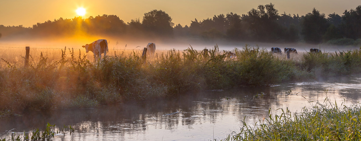 Overijssel (Niederlande): alle Highlights, Aktivitäten & Unterkunfts-Tipps für Urlaub in der Provinz Overijssel